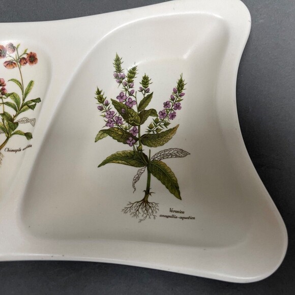 Poole Pottery Divided Serving Dish England Country Lane Trinket Flowers Roots - Picture 4 of 6
